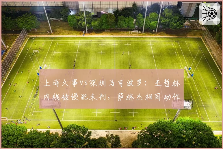 上海久事vs深圳马可波罗：王哲林内线被侵犯未判，萨林杰相同动作遭追罚惹争议裁判双标遭炮轰