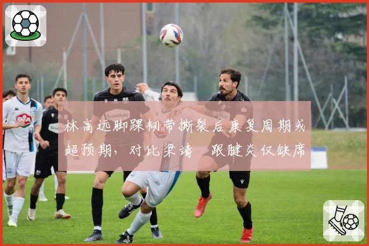 林高远脚踝韧带撕裂后康复周期或超预期，对比梁靖崑跟腱炎仅缺席2站巡回赛
