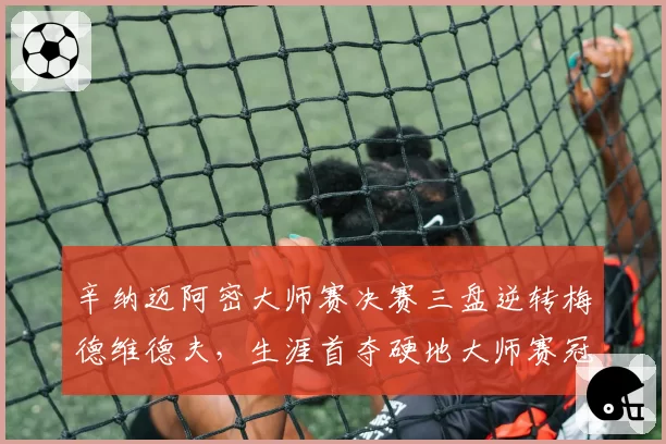 辛纳迈阿密大师赛决赛三盘逆转梅德维德夫，生涯首夺硬地大师赛冠军
